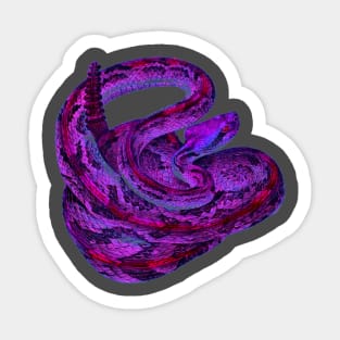 serpent,cobra,reptile,viper,venom,lizard,rattlesnake,king cobra Sticker